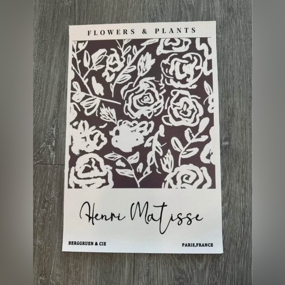Urban Outfitters Other - Matisse Art Print Canvas Poster